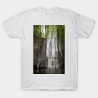 Light On Sherman Falls T-Shirt